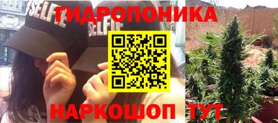 трава Новокубанск