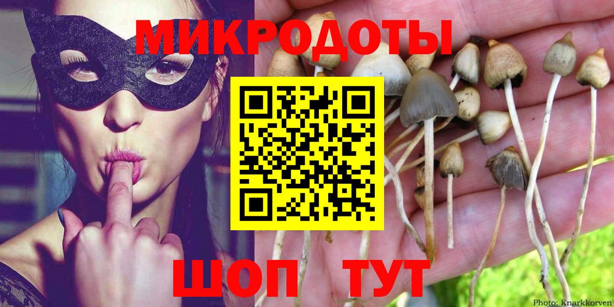 Галлюциногенные грибы GOLDEN TEACHER  Вход с VPN  Губкинский  Псилоцибиновые грибы мухоморы 